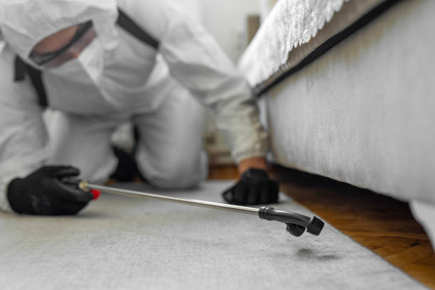 Professional Bed Bug Control technician working in Dade City North, FL